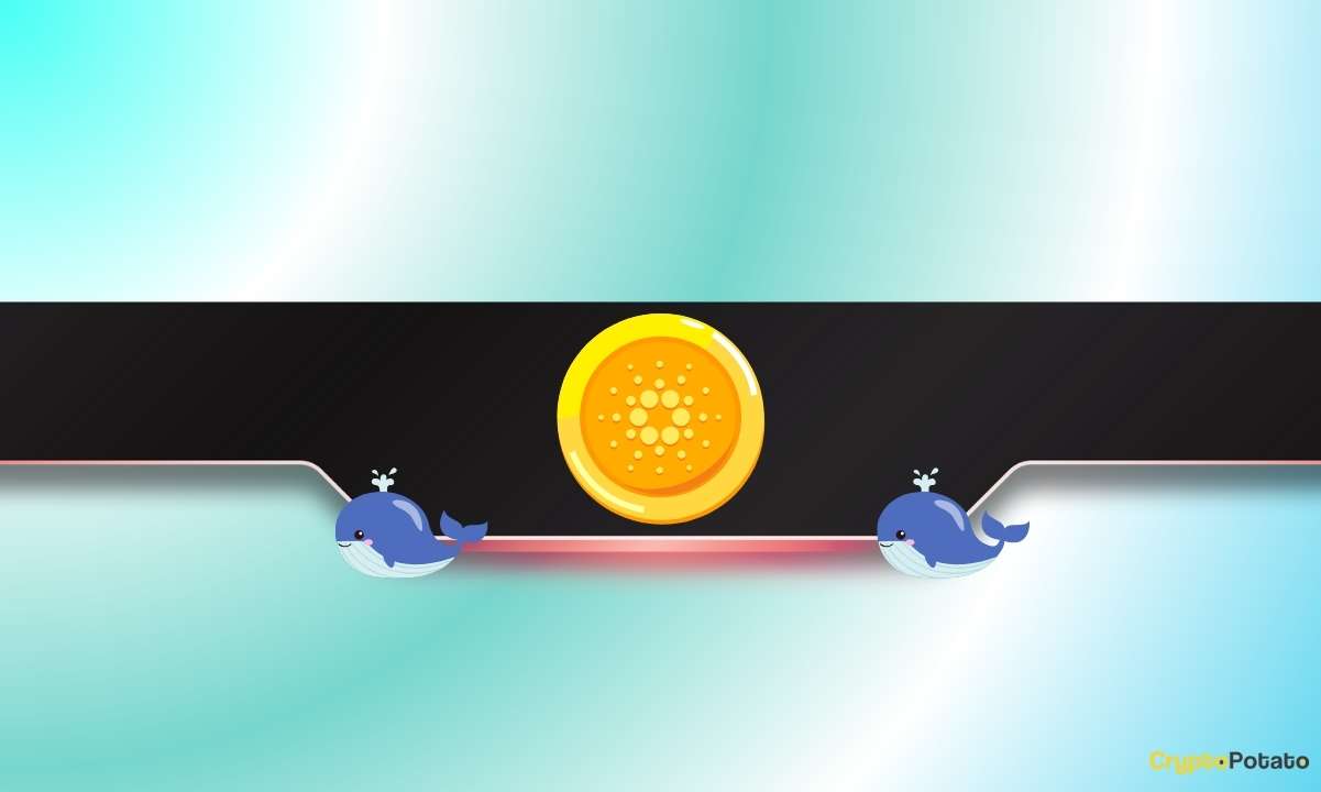 100,000,000 ADA：遭遇极端抛售后价格暴跌？